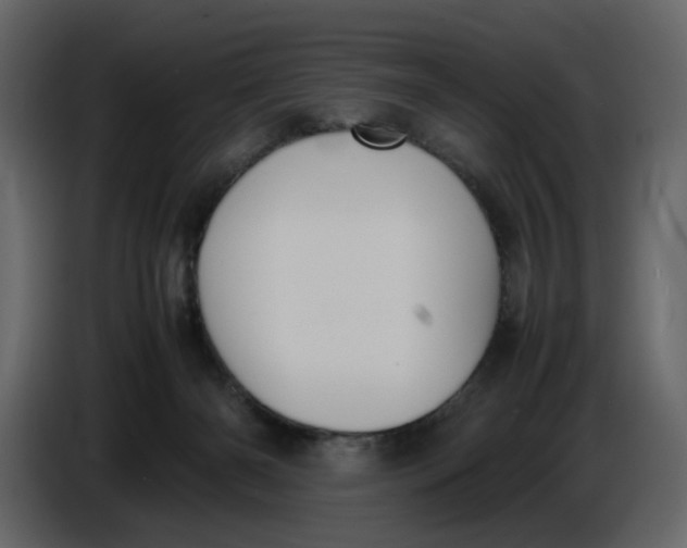 X0000086910126200705071311