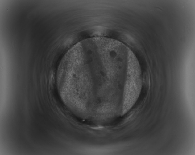 X0000086910127200705071311