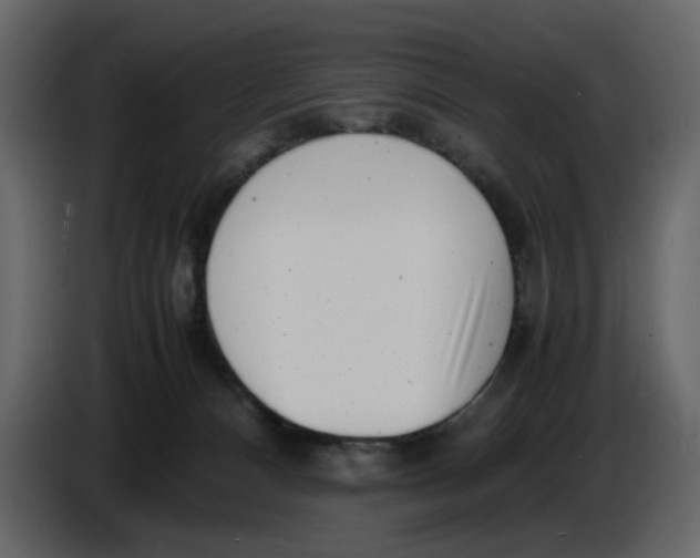 X0000086910128200705071311