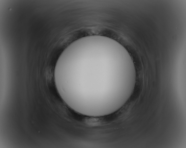 X0000086910129200705071311