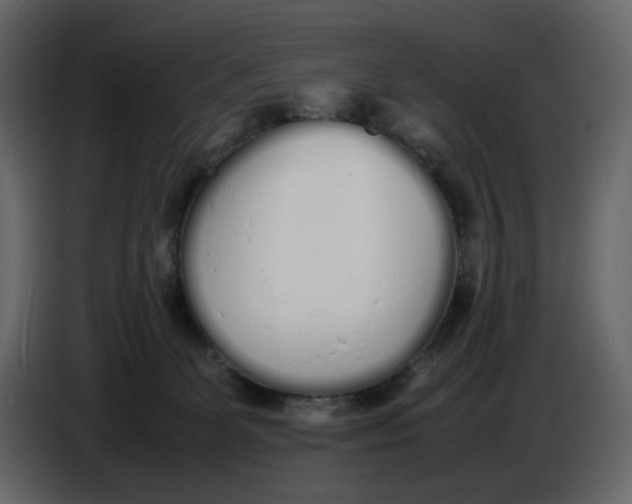 X0000086910131200705071311