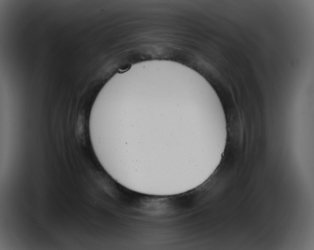 X0000086910132200705071311