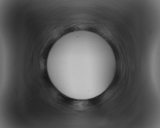 X0000086910135200705071311