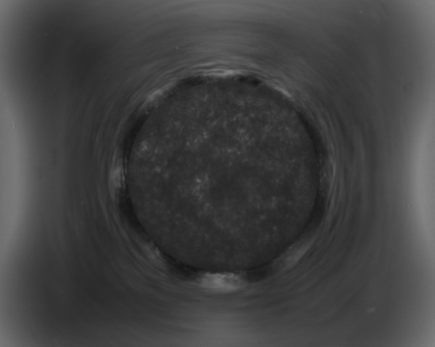 X0000086910137200705071311