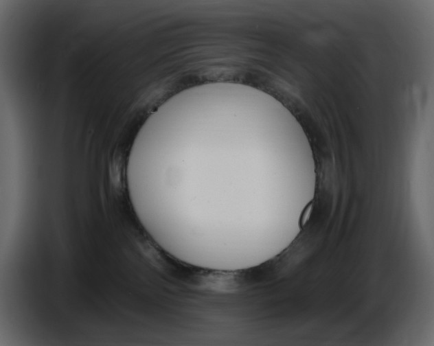 X0000086910138200705071311