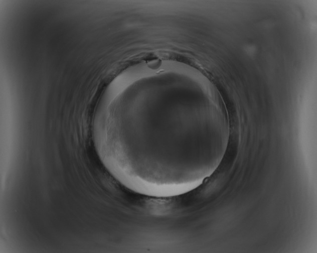 X0000086910139200705071311