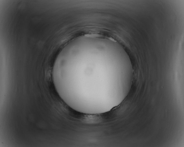 X0000086910141200705071311