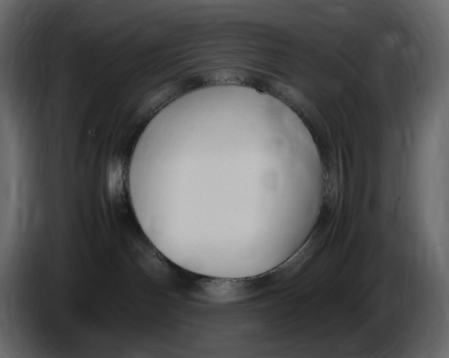 X0000086910142200705071311