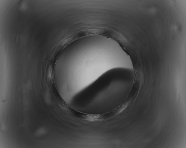 X0000086910143200705071311