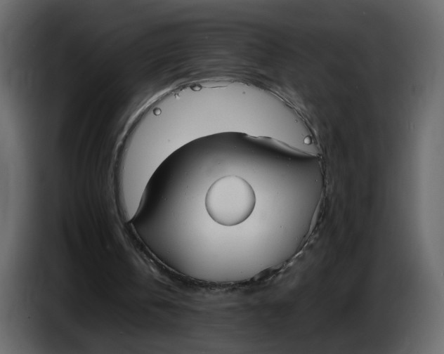 X0000086910146200705071311