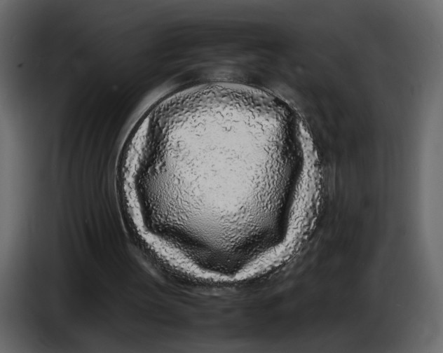 X0000086910147200705071311