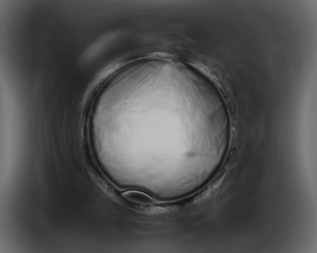 X0000086910149200705071311