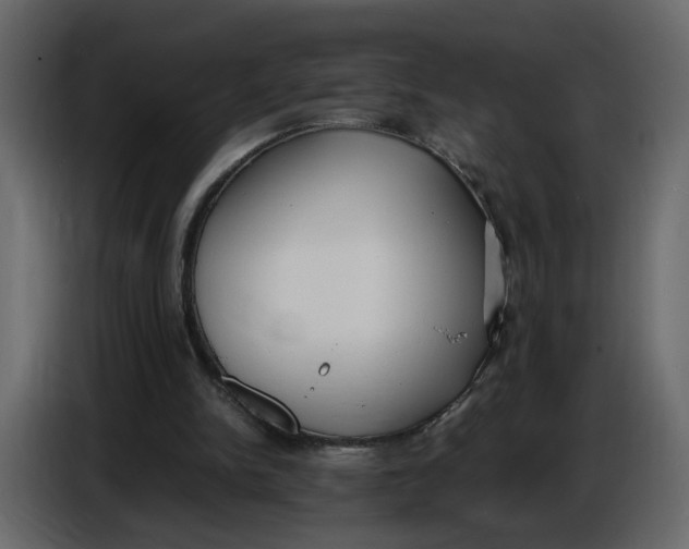 X0000086910150200705071311