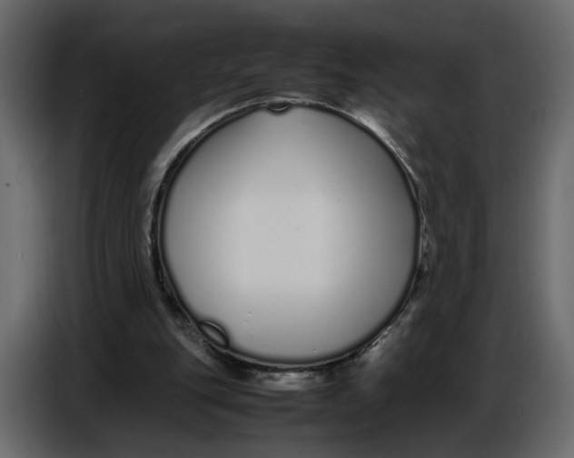 X0000086910151200705071311