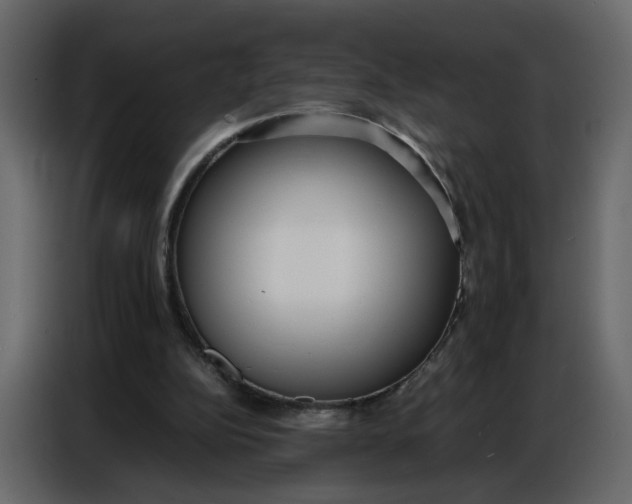 X0000086910152200705071311