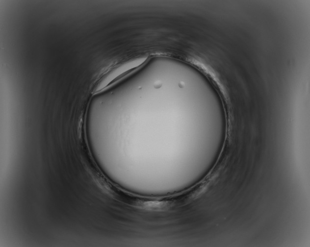 X0000086910153200705071311