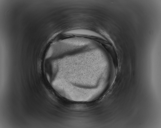 X0000086910154200705071311