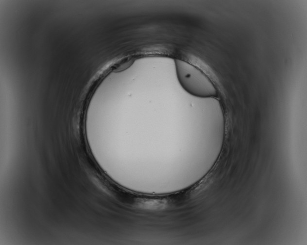 X0000086910155200705071311