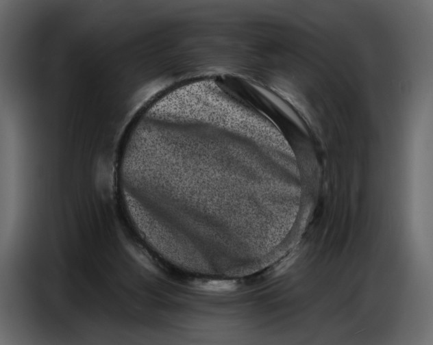 X0000086910156200705071311