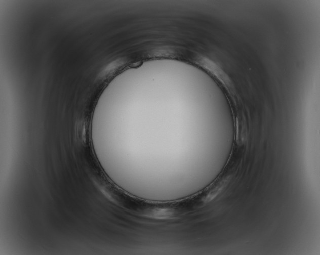 X0000086910157200705071311