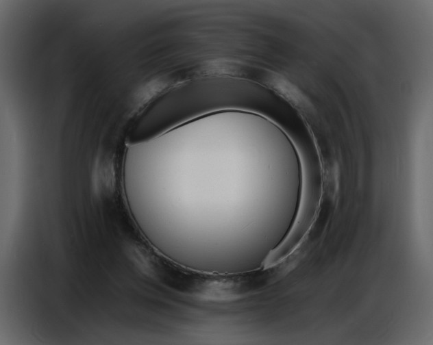 X0000086910158200705071311