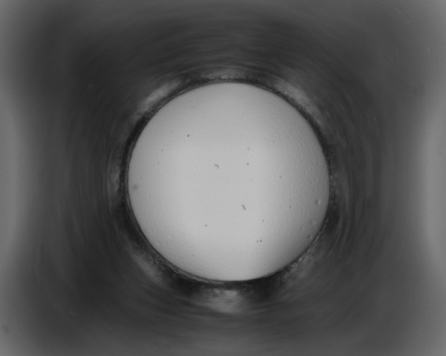 X0000086910159200705071311