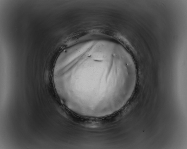 X0000086910161200705071311