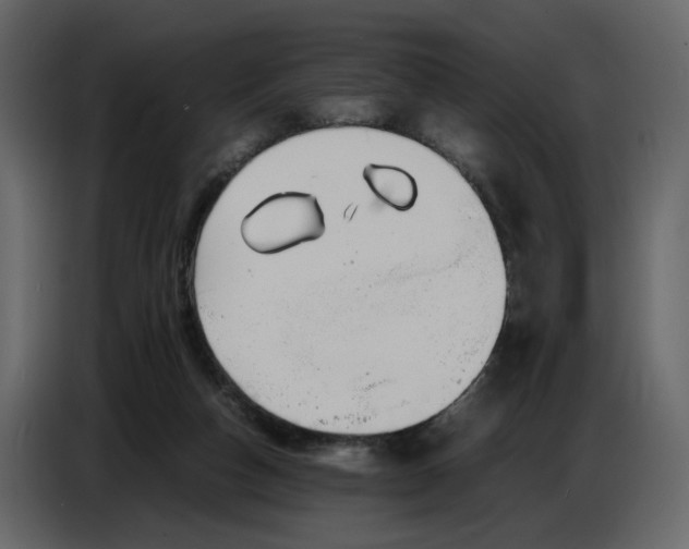 X0000086910162200705071311