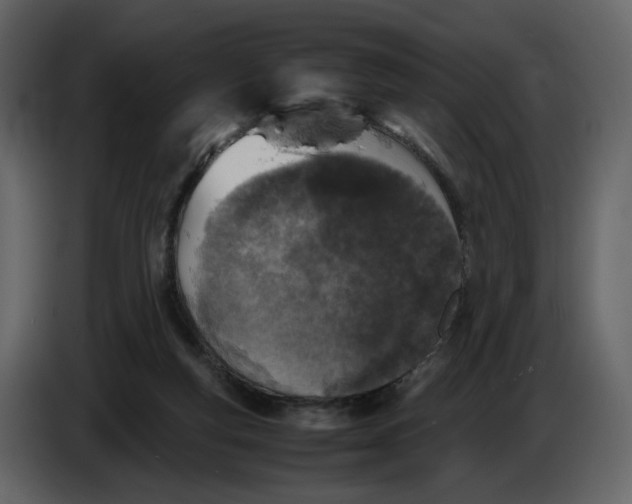 X0000086910163200705071311