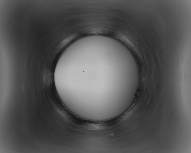 X0000086910164200705071311