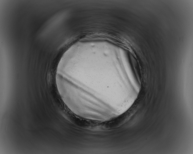 X0000086910165200705071311