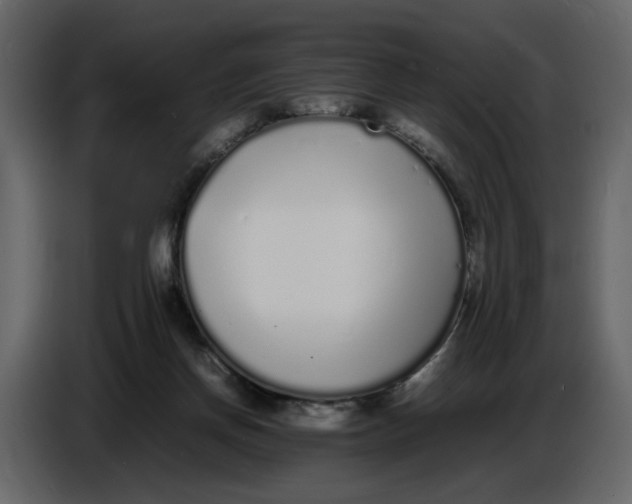 X0000086910166200705071311