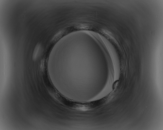 X0000086910167200705071311