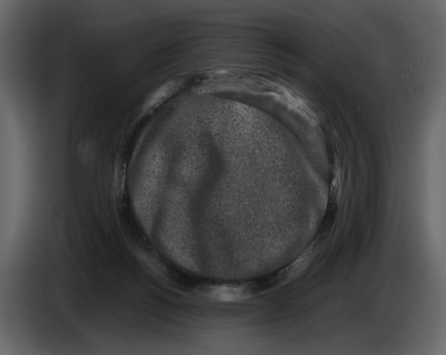 X0000086910168200705071311