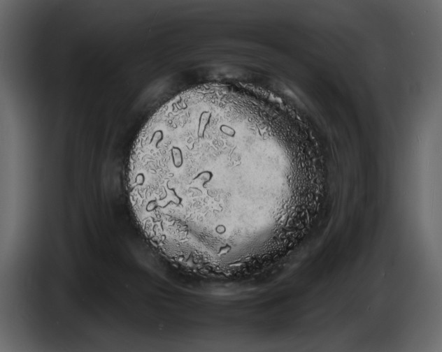 X0000086910169200705071311