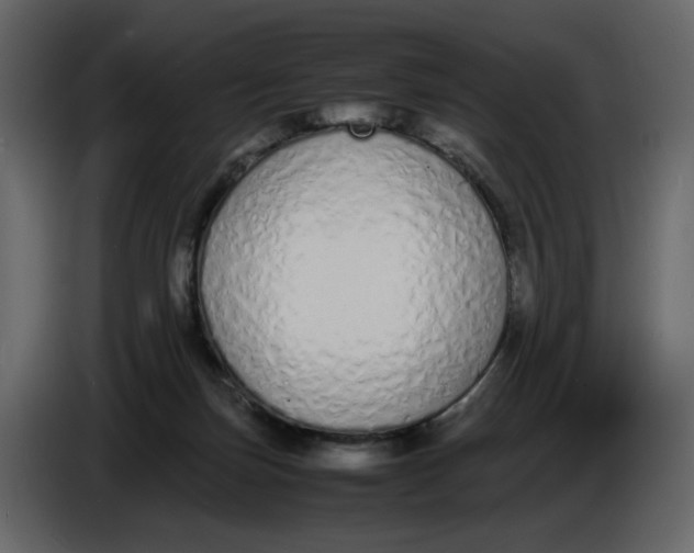 X0000086910171200705071311