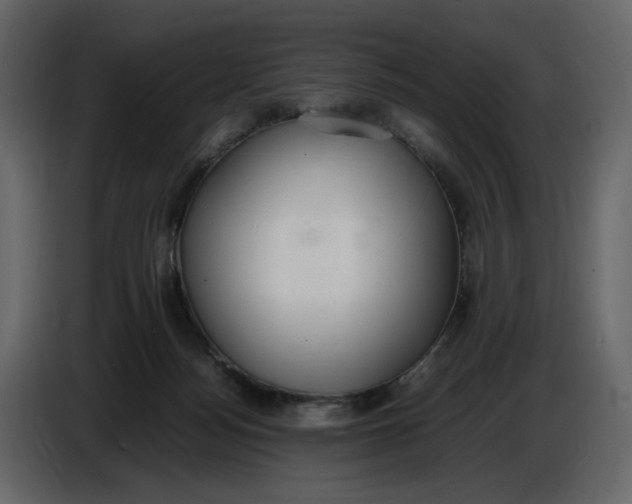 X0000086910172200705071311