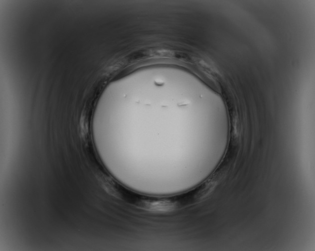 X0000086910173200705071311