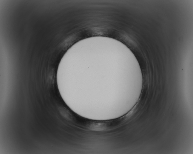 X0000086910174200705071311