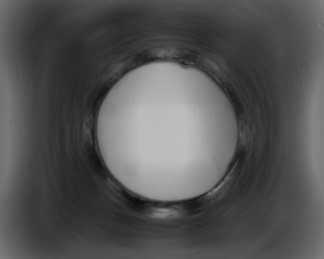 X0000086910175200705071311