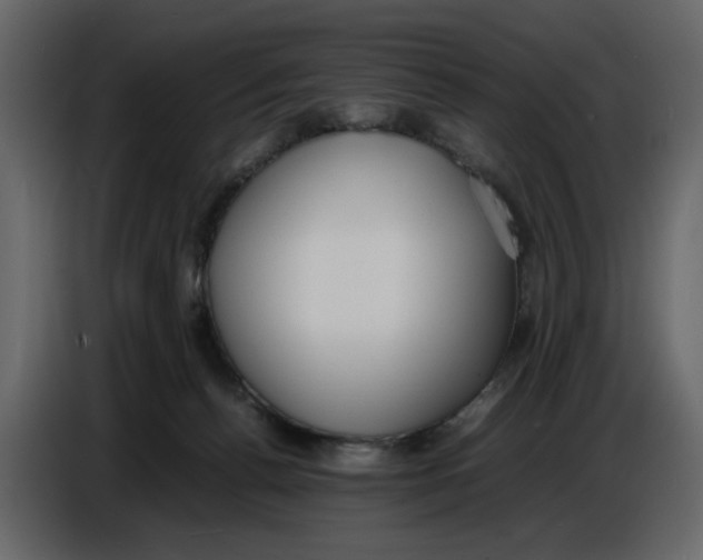 X0000086910176200705071311