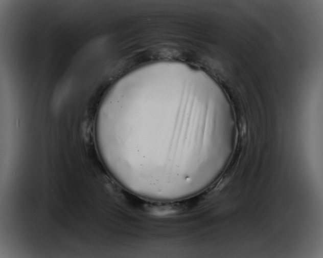 X0000086910177200705071311