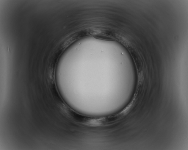 X0000086910178200705071311