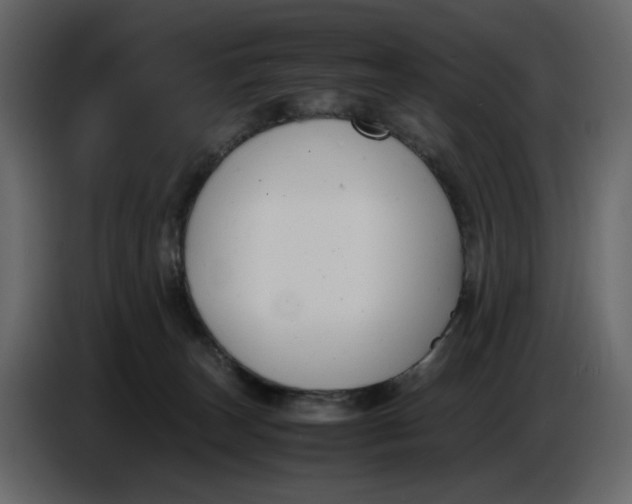 X0000086910179200705071311