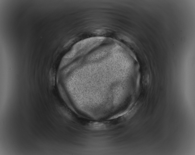 X0000086910180200705071311