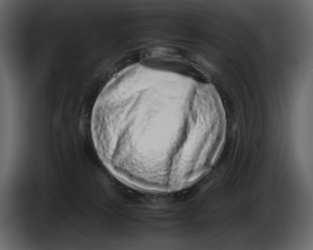 X0000086910181200705071311