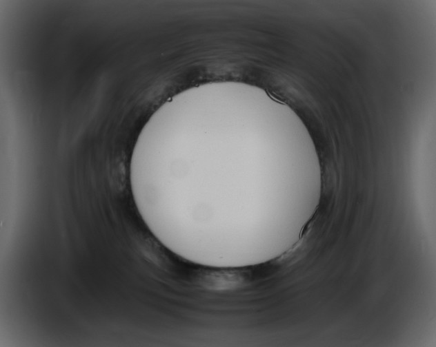 X0000086910183200705071311