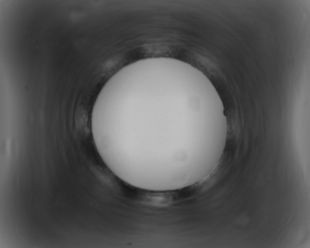 X0000086910187200705071311