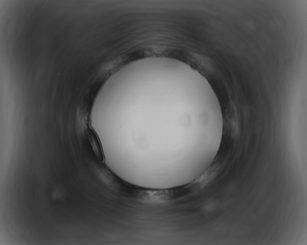 X0000086910188200705071311