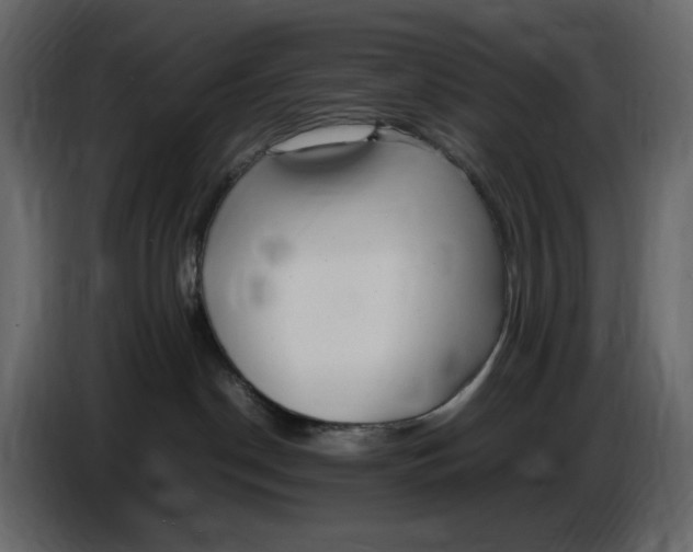 X0000086910190200705071311